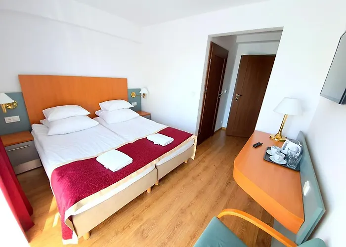 Проживание в семье Roza & *